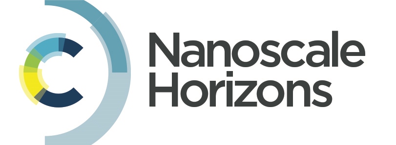 NanoHorizons